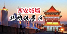 看操骚女人的逼视频中国陕西-西安城墙旅游风景区